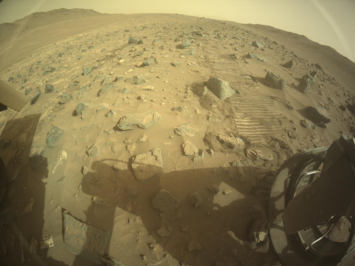 This image was taken by REAR_HAZCAM_RIGHT onboard NASA's Mars rover Perseverance on Sol 1175