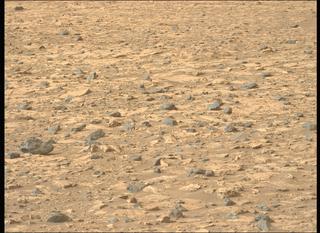 View image taken on Mars, Mars Perseverance Sol 1175: Left Mastcam-Z Camera