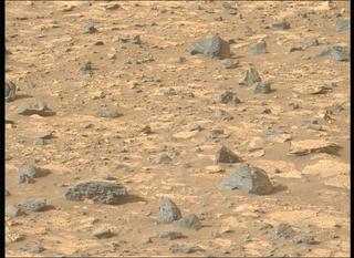 View image taken on Mars, Mars Perseverance Sol 1175: Left Mastcam-Z Camera