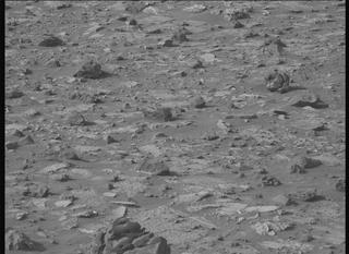 View image taken on Mars, Mars Perseverance Sol 1175: Left Mastcam-Z Camera