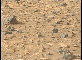View image taken on Mars, Mars Perseverance Sol 1175: Left Mastcam-Z Camera