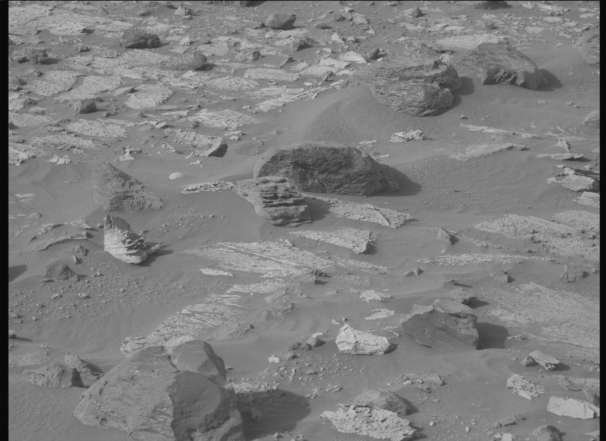 This image was taken by MCZ_LEFT onboard NASA's Mars rover Perseverance on Sol 1175