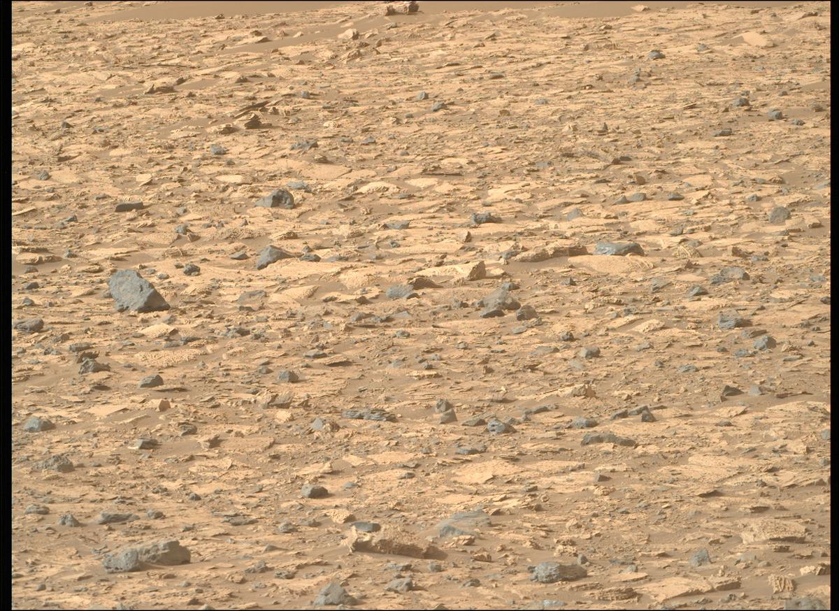 This image was taken by MCZ_RIGHT onboard NASA's Mars rover Perseverance on Sol 1175