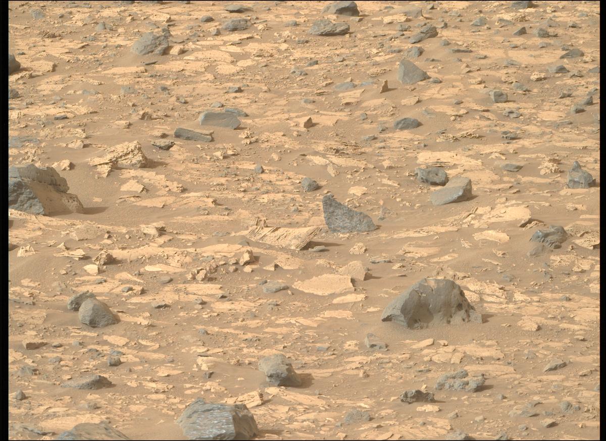 This image was taken by MCZ_RIGHT onboard NASA's Mars rover Perseverance on Sol 1175