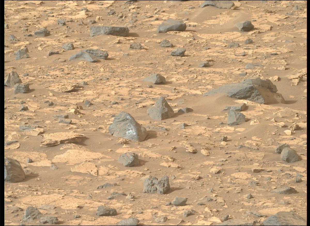 This image was taken by MCZ_RIGHT onboard NASA's Mars rover Perseverance on Sol 1175