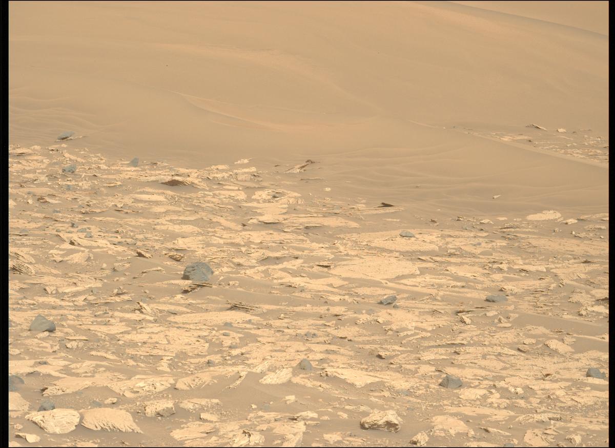 This image was taken by MCZ_LEFT onboard NASA's Mars rover Perseverance on Sol 1176