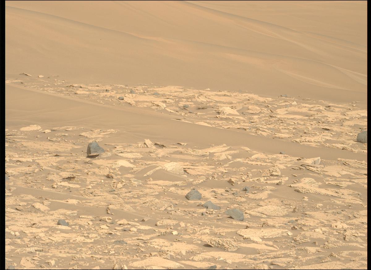 This image was taken by MCZ_LEFT onboard NASA's Mars rover Perseverance on Sol 1176