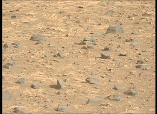 View image taken on Mars, Mars Perseverance Sol 1176: Left Mastcam-Z Camera