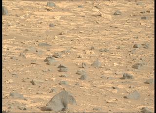 View image taken on Mars, Mars Perseverance Sol 1176: Left Mastcam-Z Camera