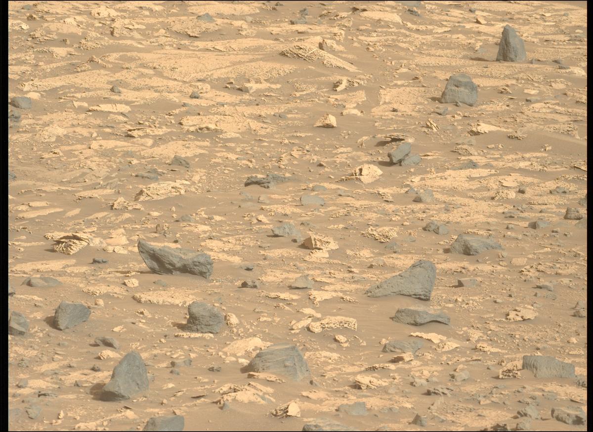 This image was taken by MCZ_LEFT onboard NASA's Mars rover Perseverance on Sol 1176