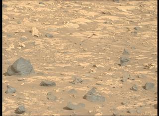 View image taken on Mars, Mars Perseverance Sol 1176: Left Mastcam-Z Camera