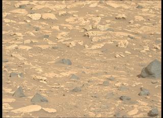 View image taken on Mars, Mars Perseverance Sol 1176: Left Mastcam-Z Camera