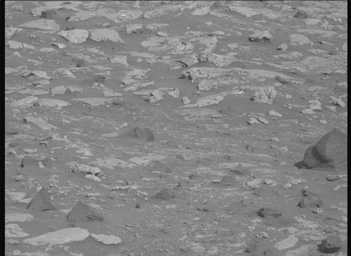 This image was taken by MCZ_LEFT onboard NASA's Mars rover Perseverance on Sol 1176
