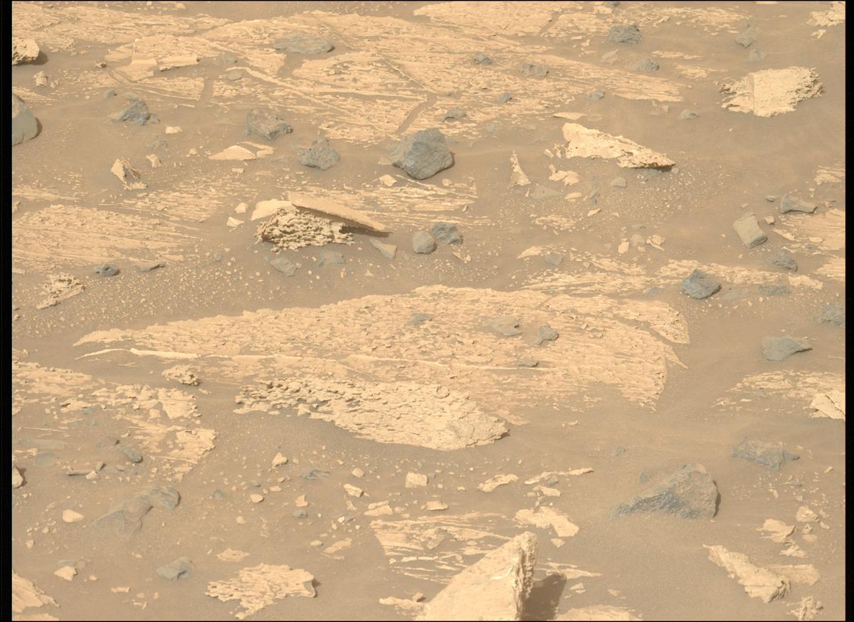 This image was taken by MCZ_LEFT onboard NASA's Mars rover Perseverance on Sol 1176
