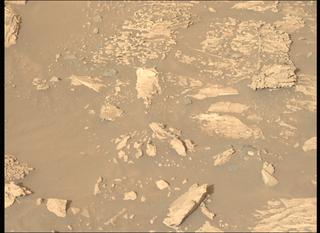 View image taken on Mars, Mars Perseverance Sol 1176: Left Mastcam-Z Camera