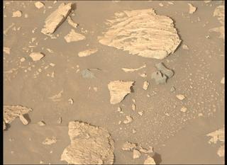 View image taken on Mars, Mars Perseverance Sol 1176: Left Mastcam-Z Camera