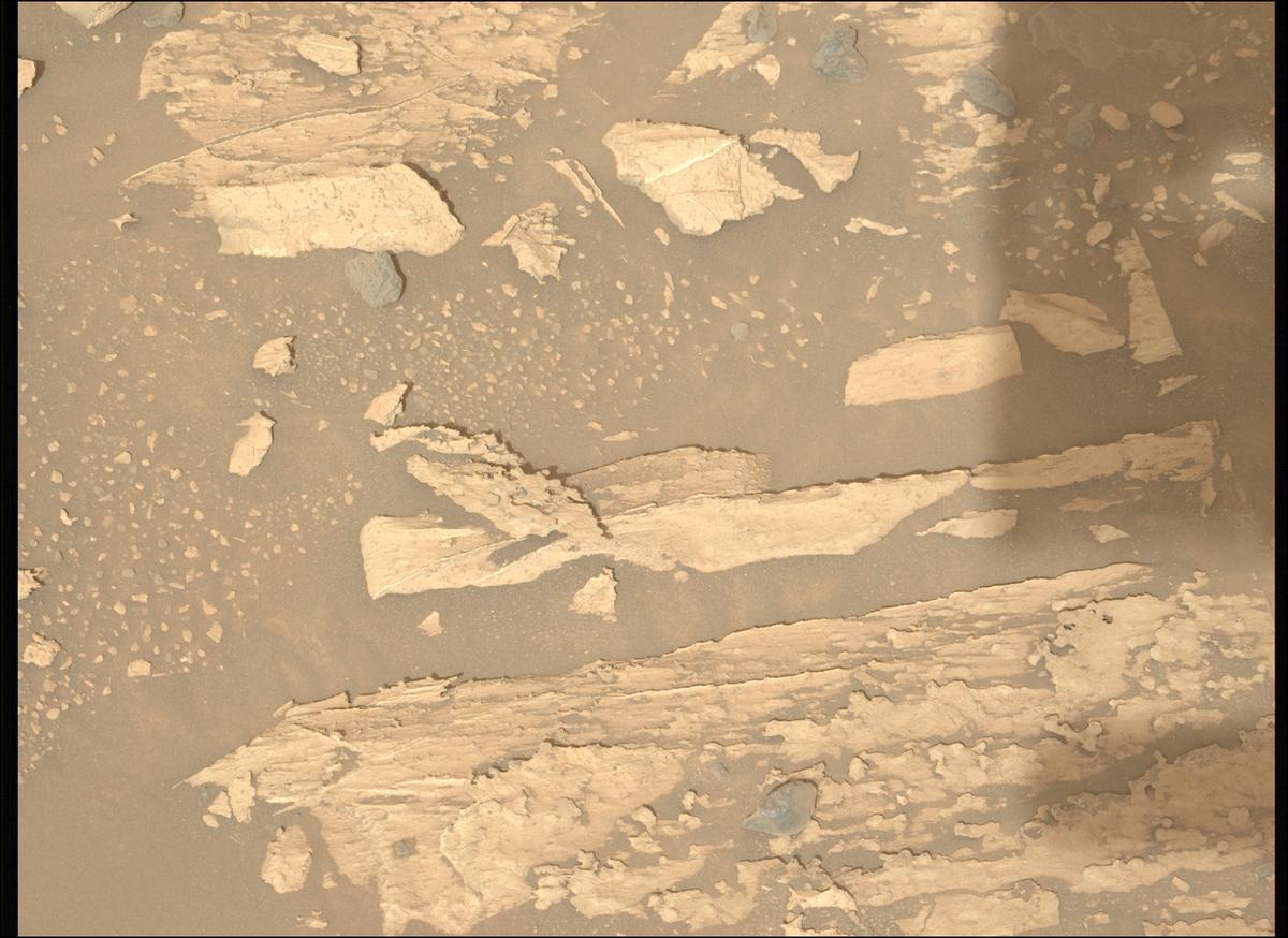 This image was taken by MCZ_LEFT onboard NASA's Mars rover Perseverance on Sol 1176