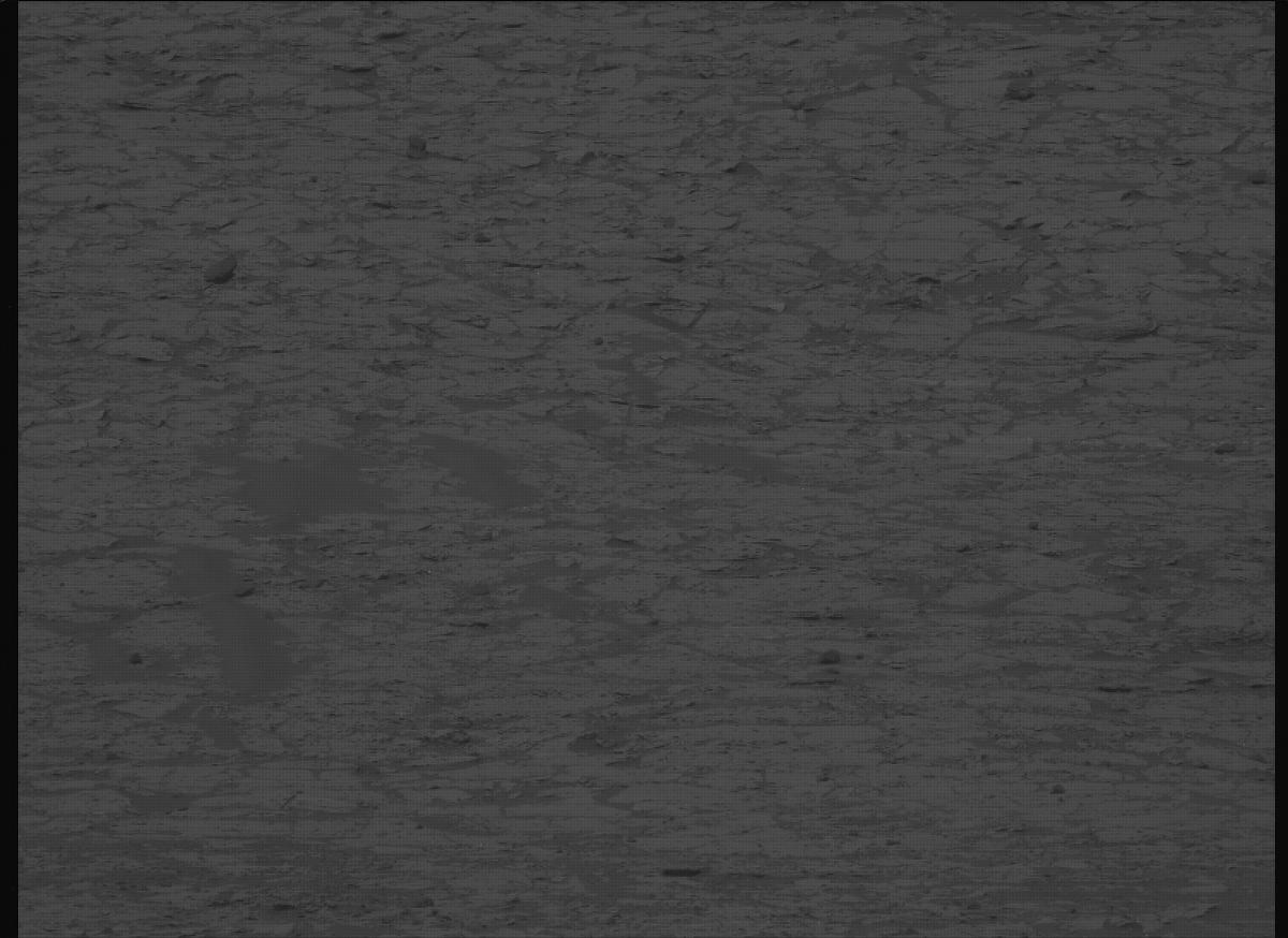 This image was taken by MCZ_LEFT onboard NASA's Mars rover Perseverance on Sol 1176