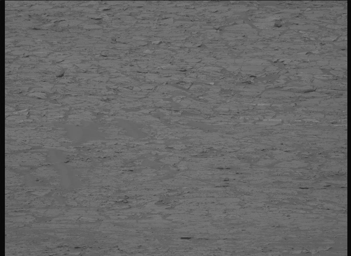 This image was taken by MCZ_LEFT onboard NASA's Mars rover Perseverance on Sol 1176