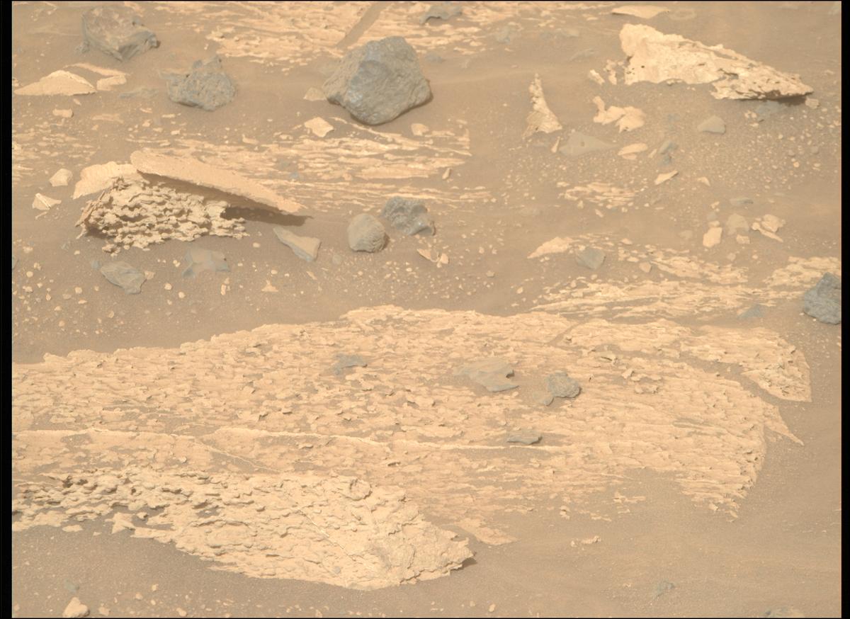 This image was taken by MCZ_RIGHT onboard NASA's Mars rover Perseverance on Sol 1176