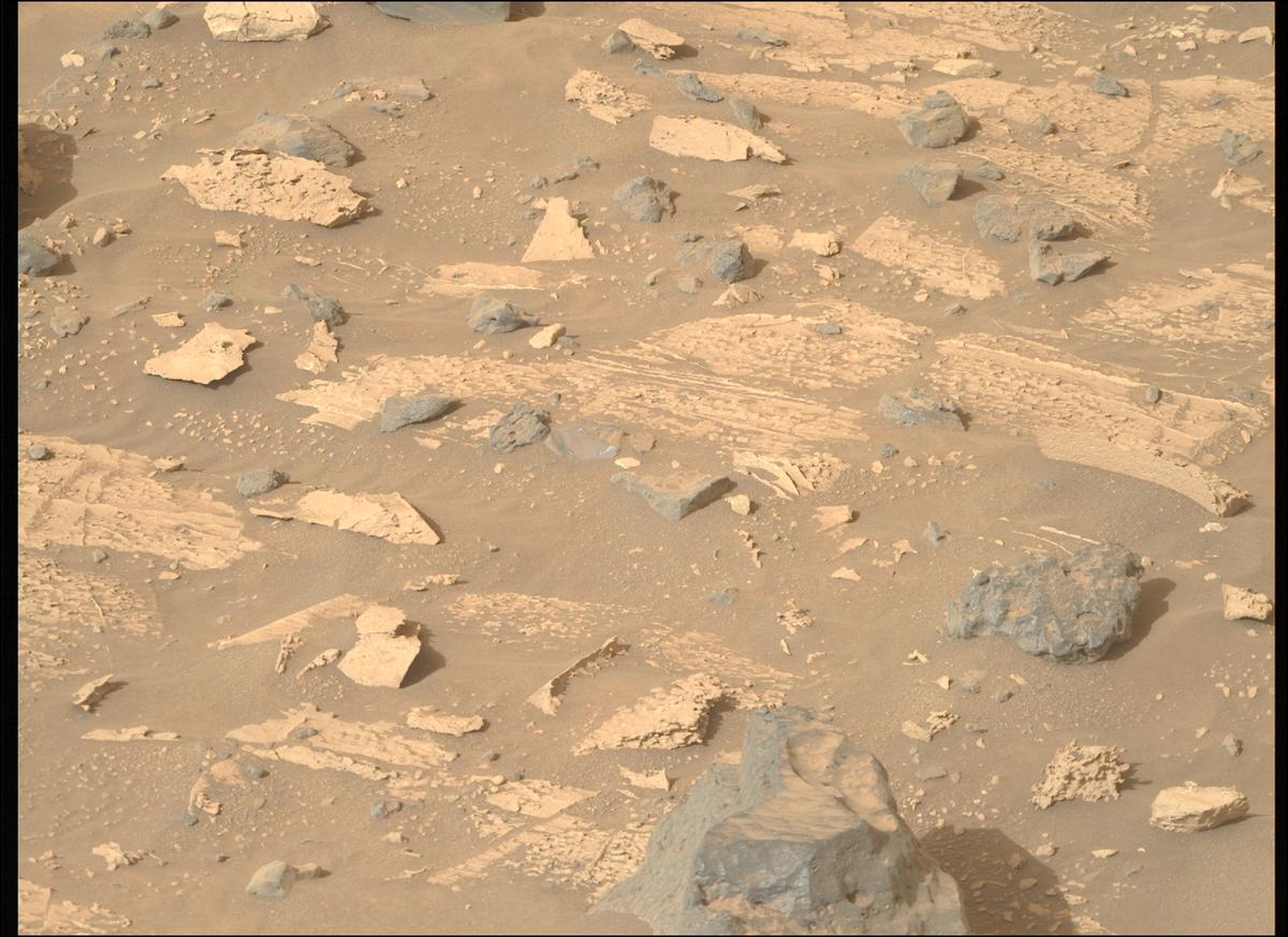 This image was taken by MCZ_RIGHT onboard NASA's Mars rover Perseverance on Sol 1176
