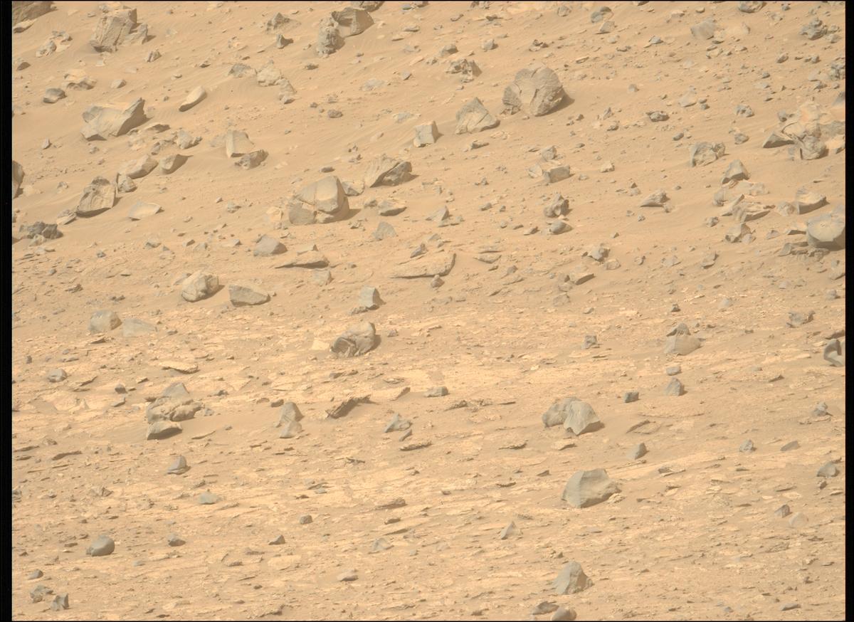 This image was taken by MCZ_LEFT onboard NASA's Mars rover Perseverance on Sol 1177