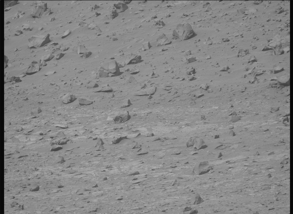 This image was taken by MCZ_LEFT onboard NASA's Mars rover Perseverance on Sol 1177