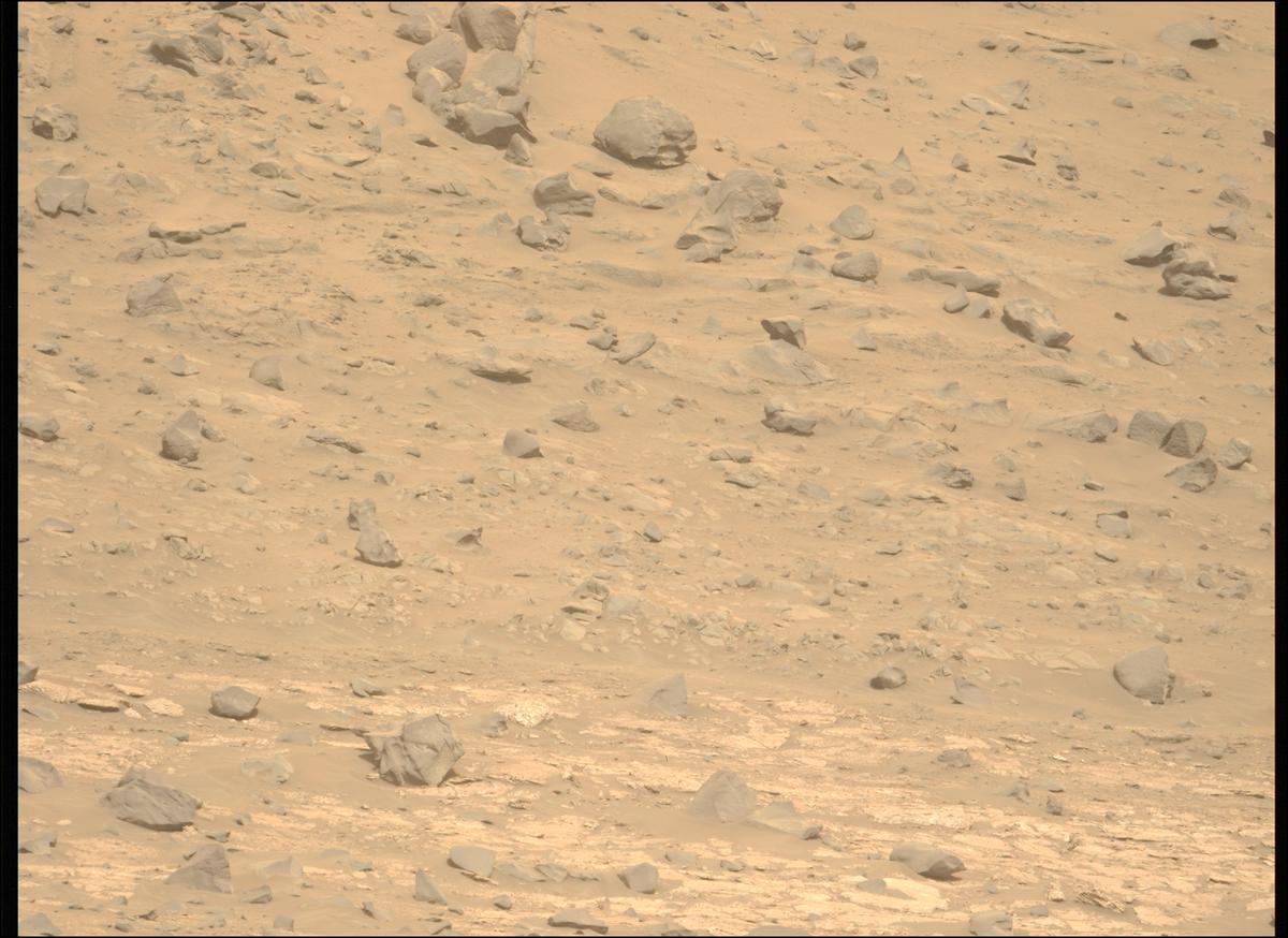 This image was taken by MCZ_LEFT onboard NASA's Mars rover Perseverance on Sol 1177