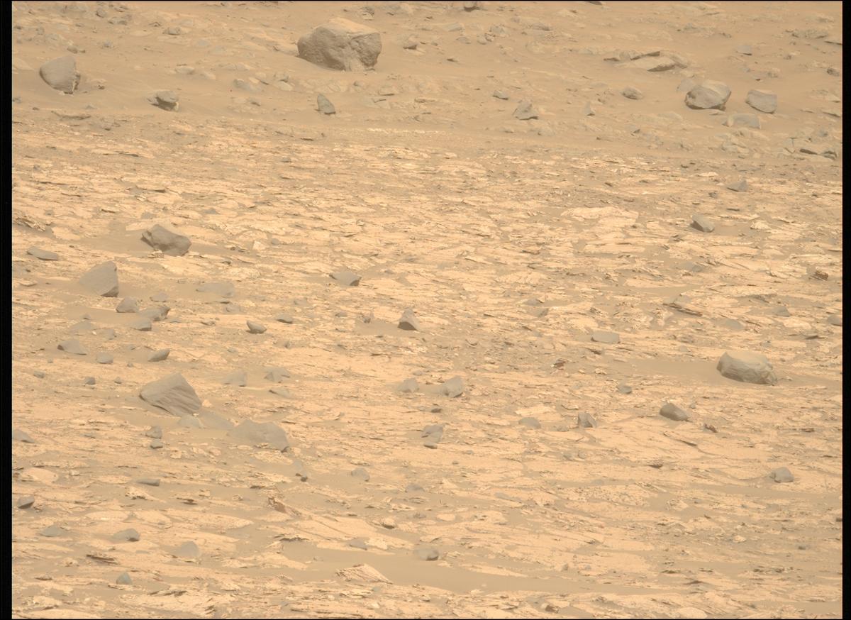 This image was taken by MCZ_LEFT onboard NASA's Mars rover Perseverance on Sol 1177