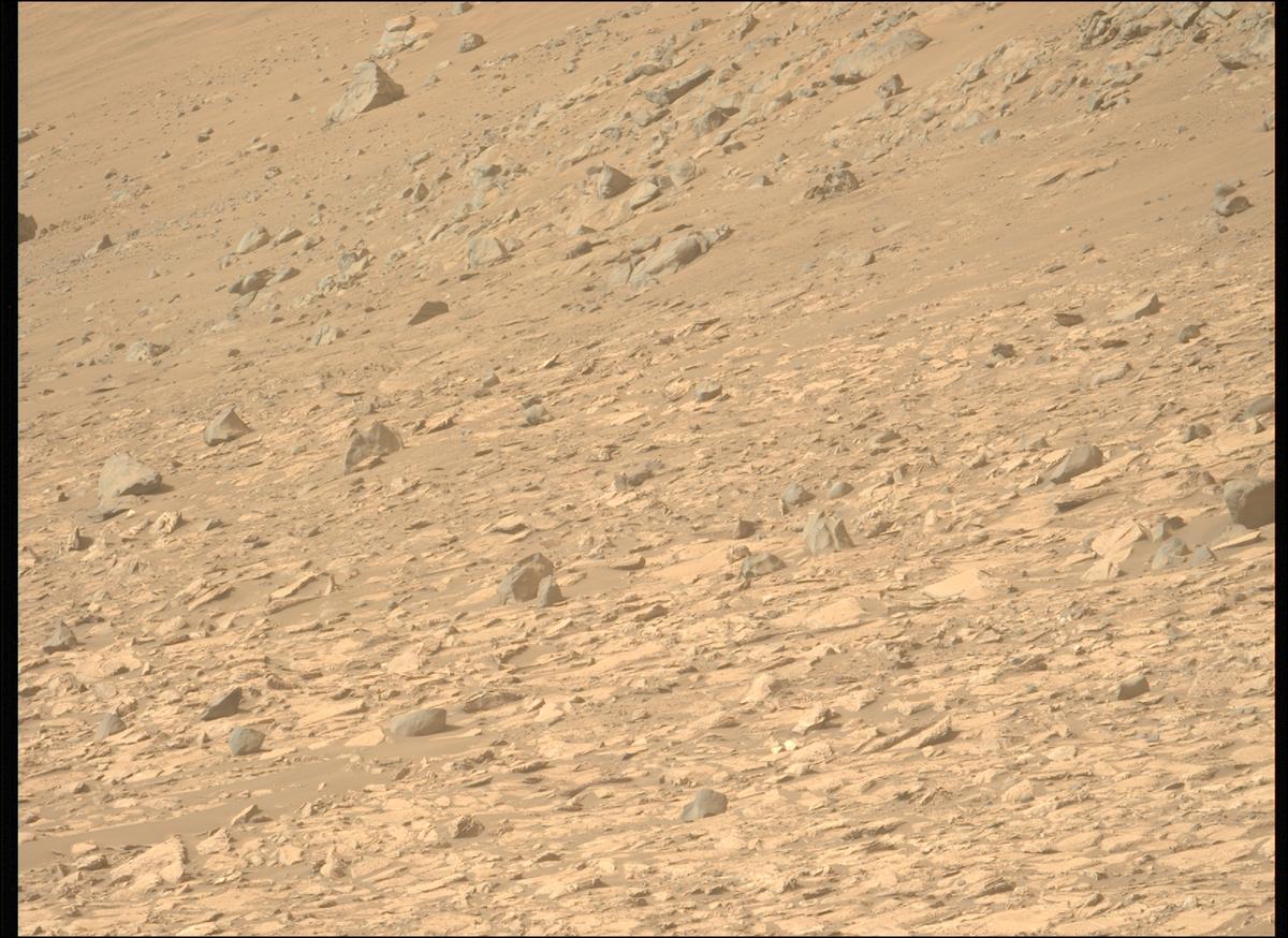 This image was taken by MCZ_LEFT onboard NASA's Mars rover Perseverance on Sol 1177