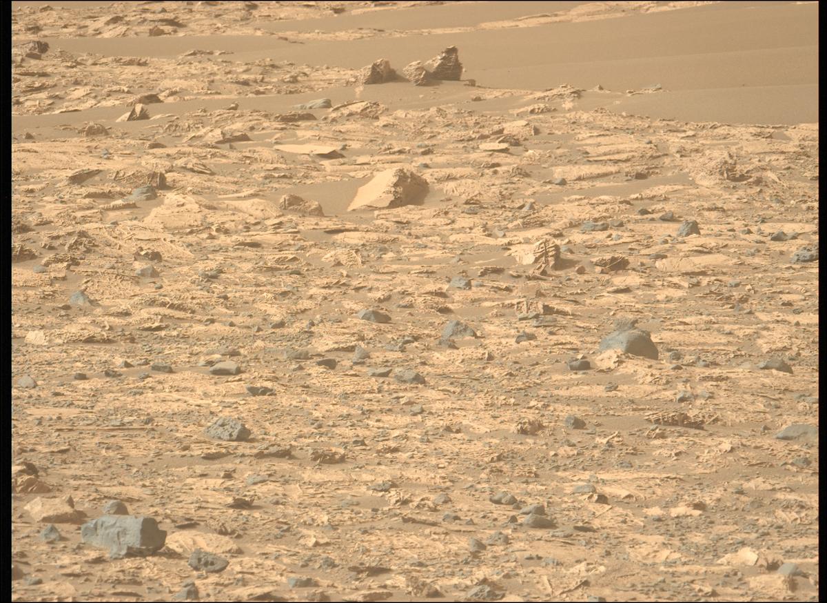 This image was taken by MCZ_LEFT onboard NASA's Mars rover Perseverance on Sol 1177