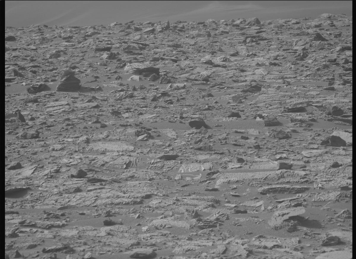 This image was taken by MCZ_LEFT onboard NASA's Mars rover Perseverance on Sol 1177