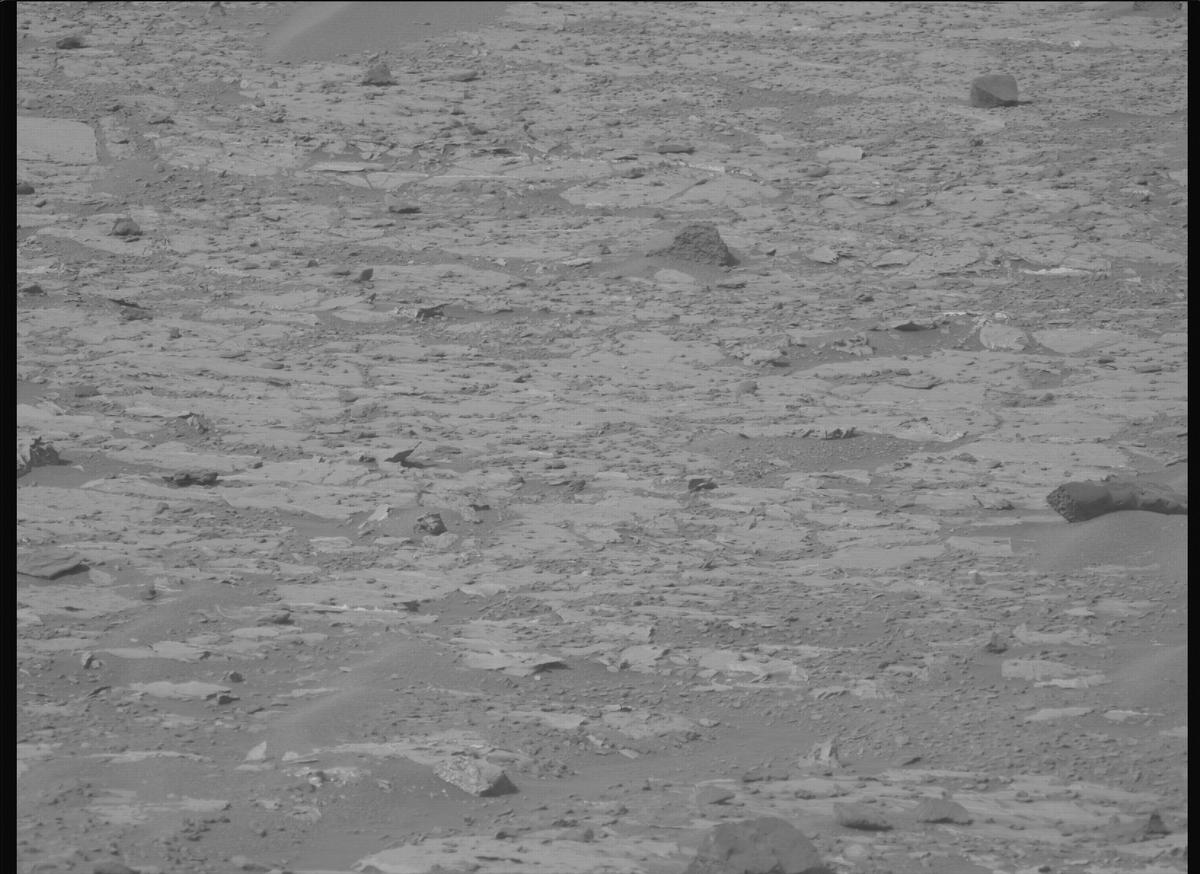 This image was taken by MCZ_LEFT onboard NASA's Mars rover Perseverance on Sol 1177