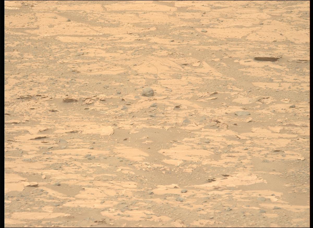 This image was taken by MCZ_LEFT onboard NASA's Mars rover Perseverance on Sol 1177
