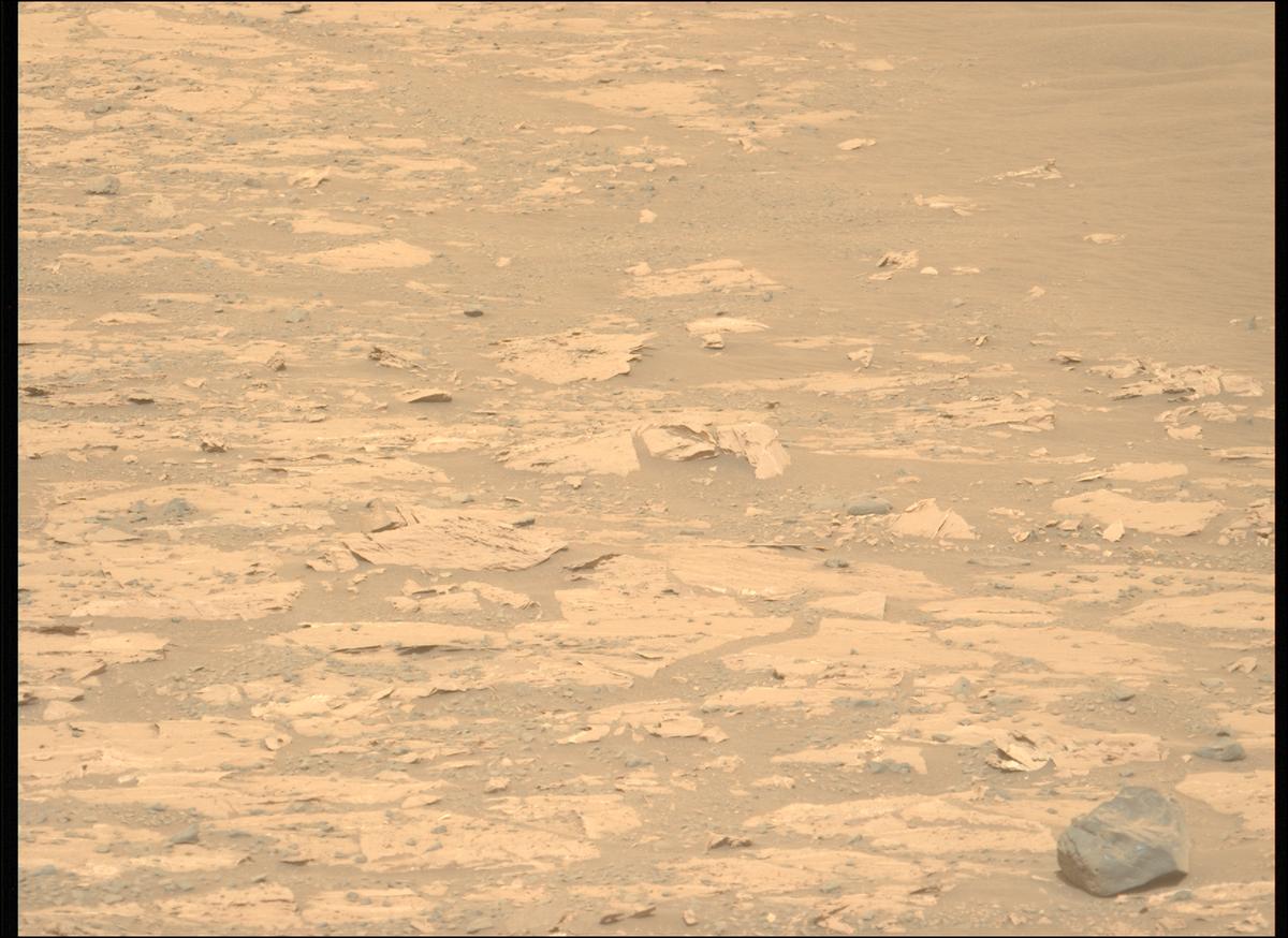 This image was taken by MCZ_LEFT onboard NASA's Mars rover Perseverance on Sol 1177