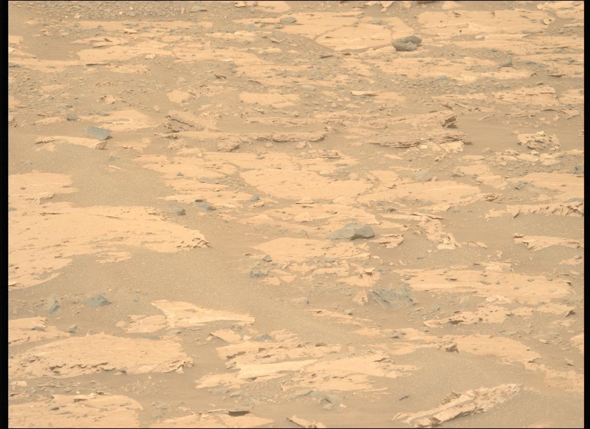 This image was taken by MCZ_LEFT onboard NASA's Mars rover Perseverance on Sol 1177