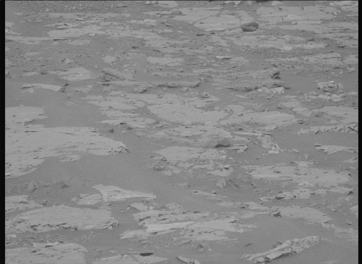 This image was taken by MCZ_LEFT onboard NASA's Mars rover Perseverance on Sol 1177