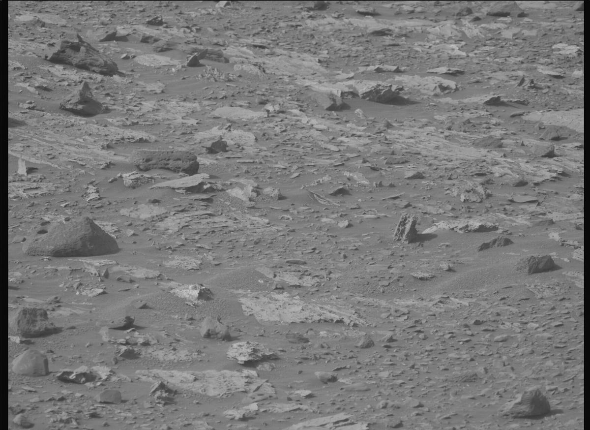 This image was taken by MCZ_LEFT onboard NASA's Mars rover Perseverance on Sol 1177