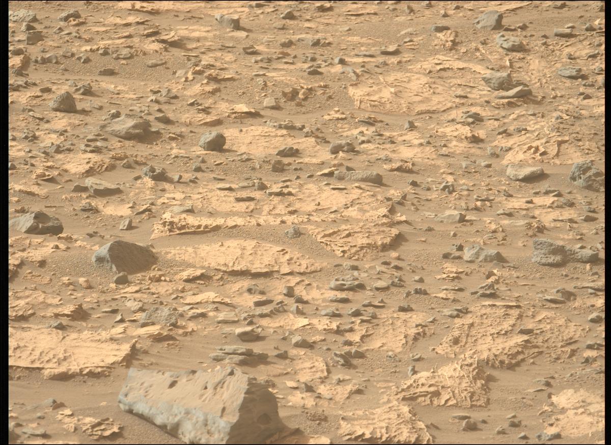 This image was taken by MCZ_LEFT onboard NASA's Mars rover Perseverance on Sol 1177