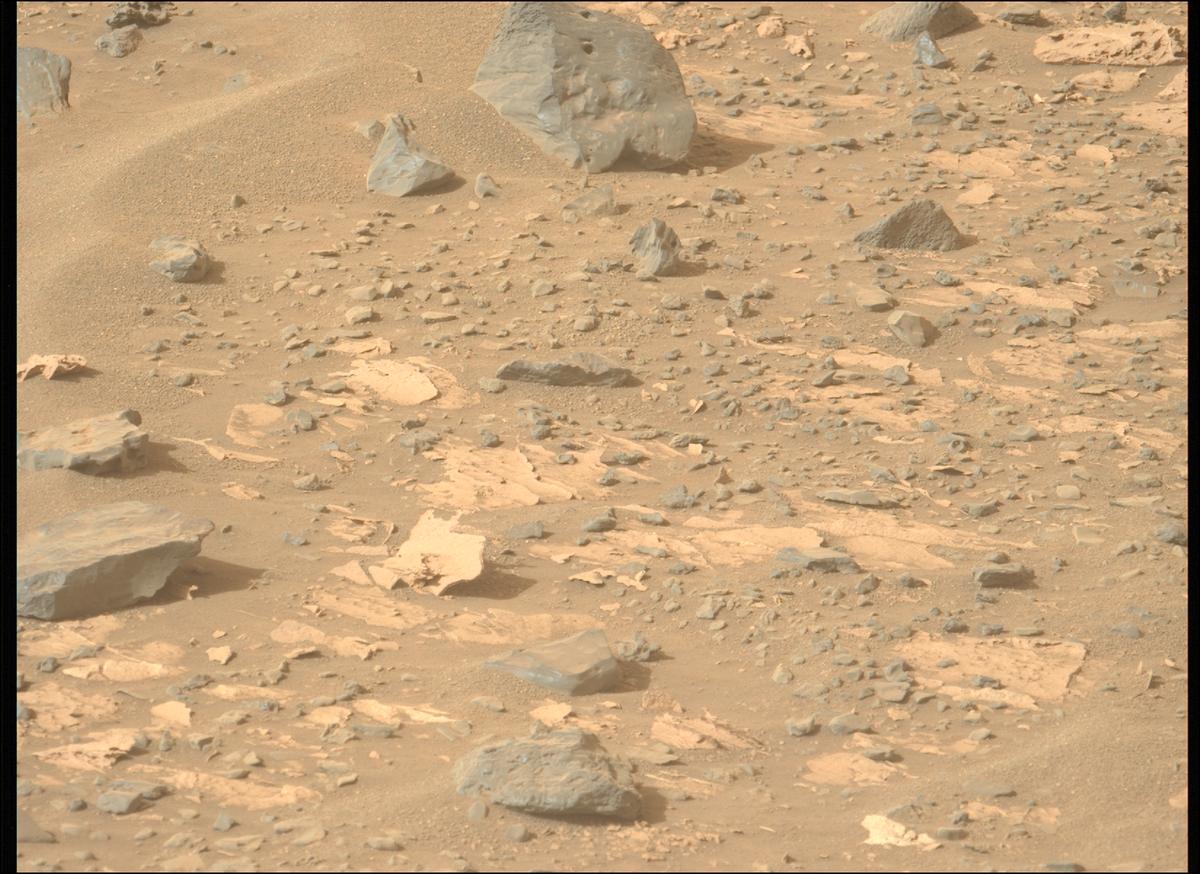 This image was taken by MCZ_LEFT onboard NASA's Mars rover Perseverance on Sol 1177