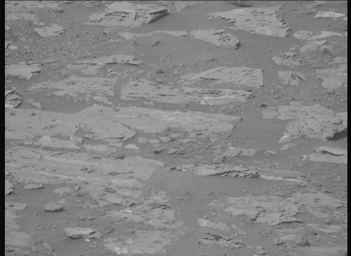 This image was taken by MCZ_LEFT onboard NASA's Mars rover Perseverance on Sol 1177