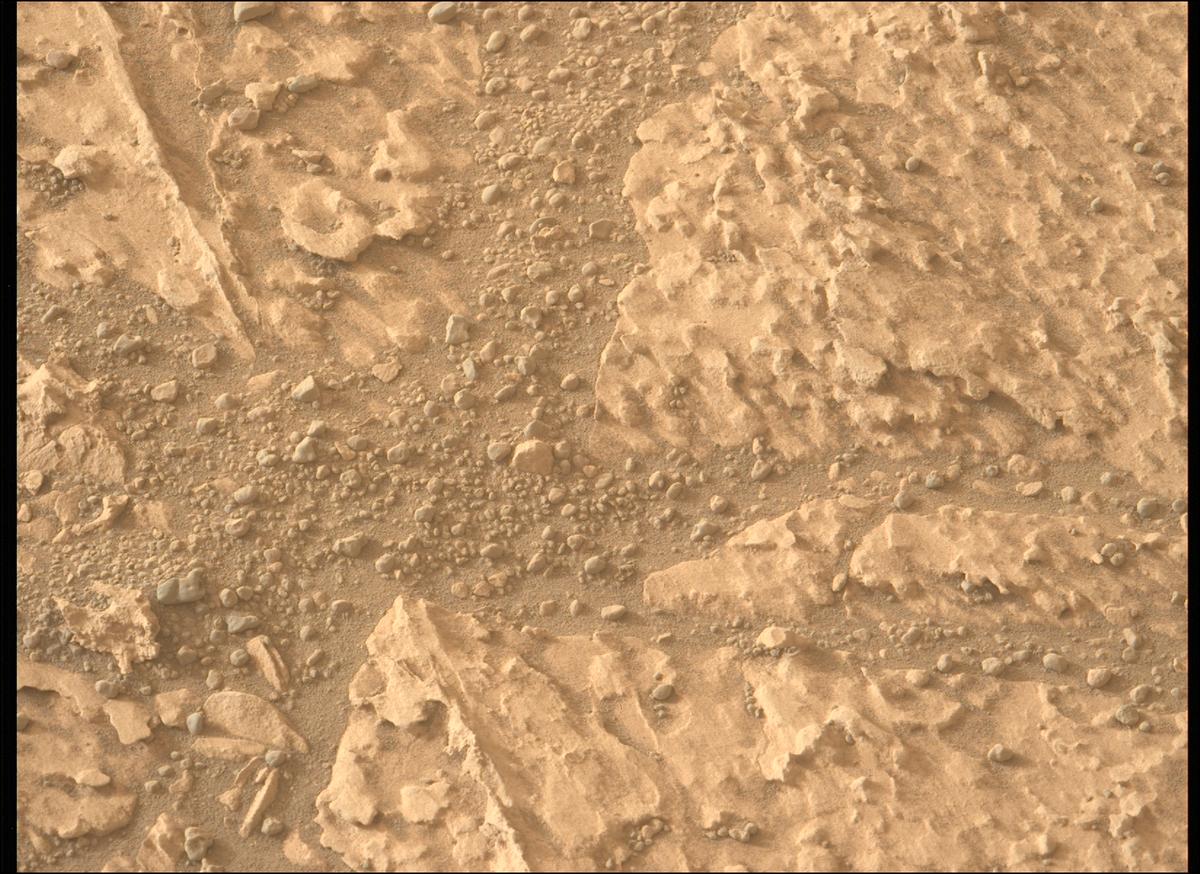 This image was taken by MCZ_LEFT onboard NASA's Mars rover Perseverance on Sol 1177