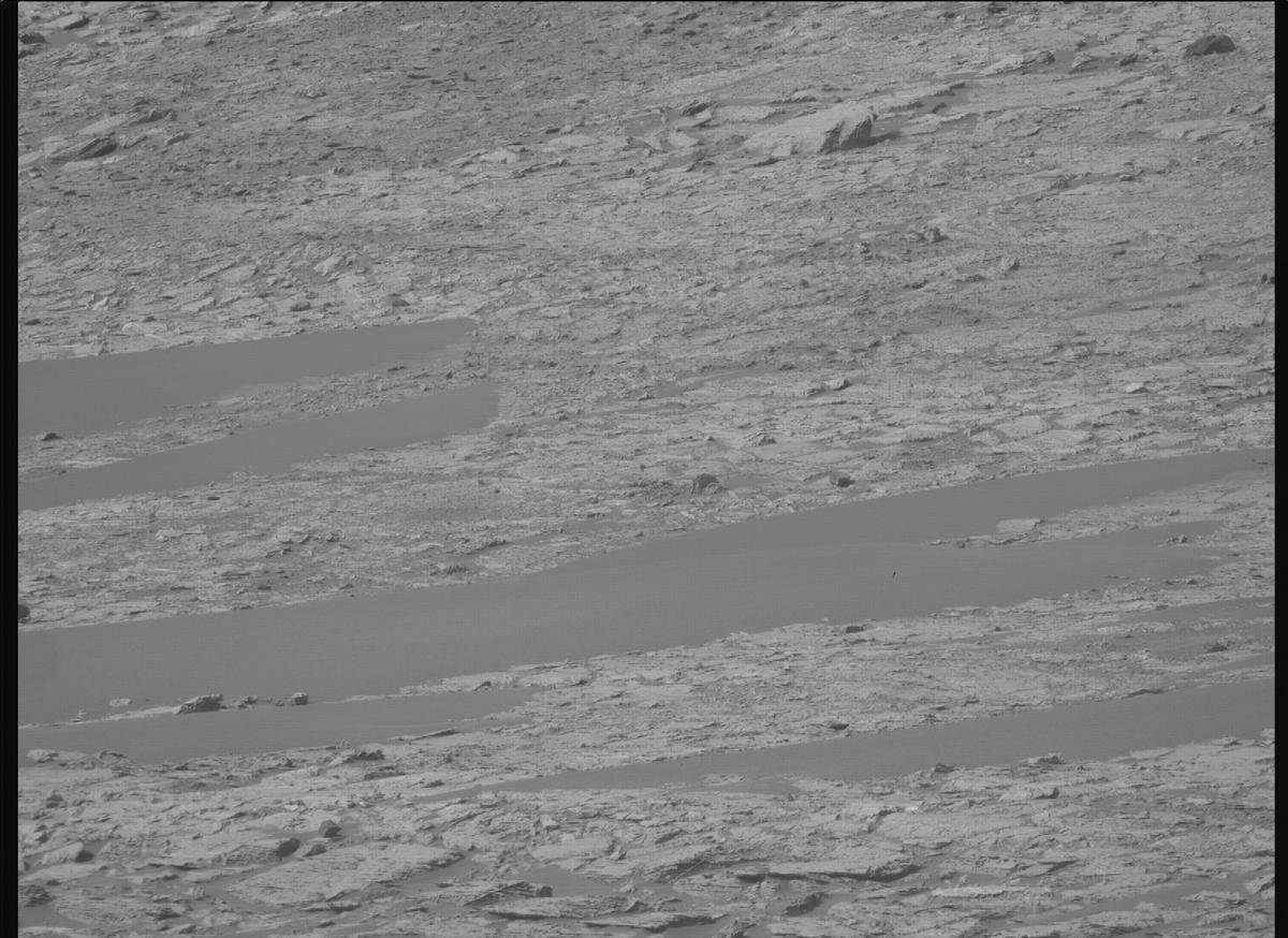 This image was taken by MCZ_RIGHT onboard NASA's Mars rover Perseverance on Sol 1177