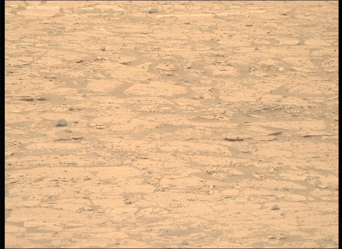 This image was taken by MCZ_RIGHT onboard NASA's Mars rover Perseverance on Sol 1177