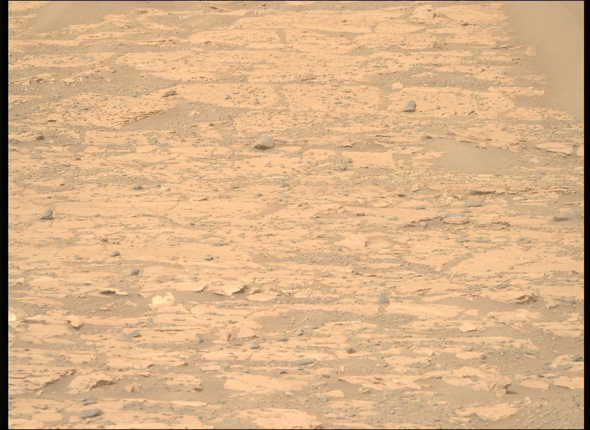 This image was taken by MCZ_RIGHT onboard NASA's Mars rover Perseverance on Sol 1177