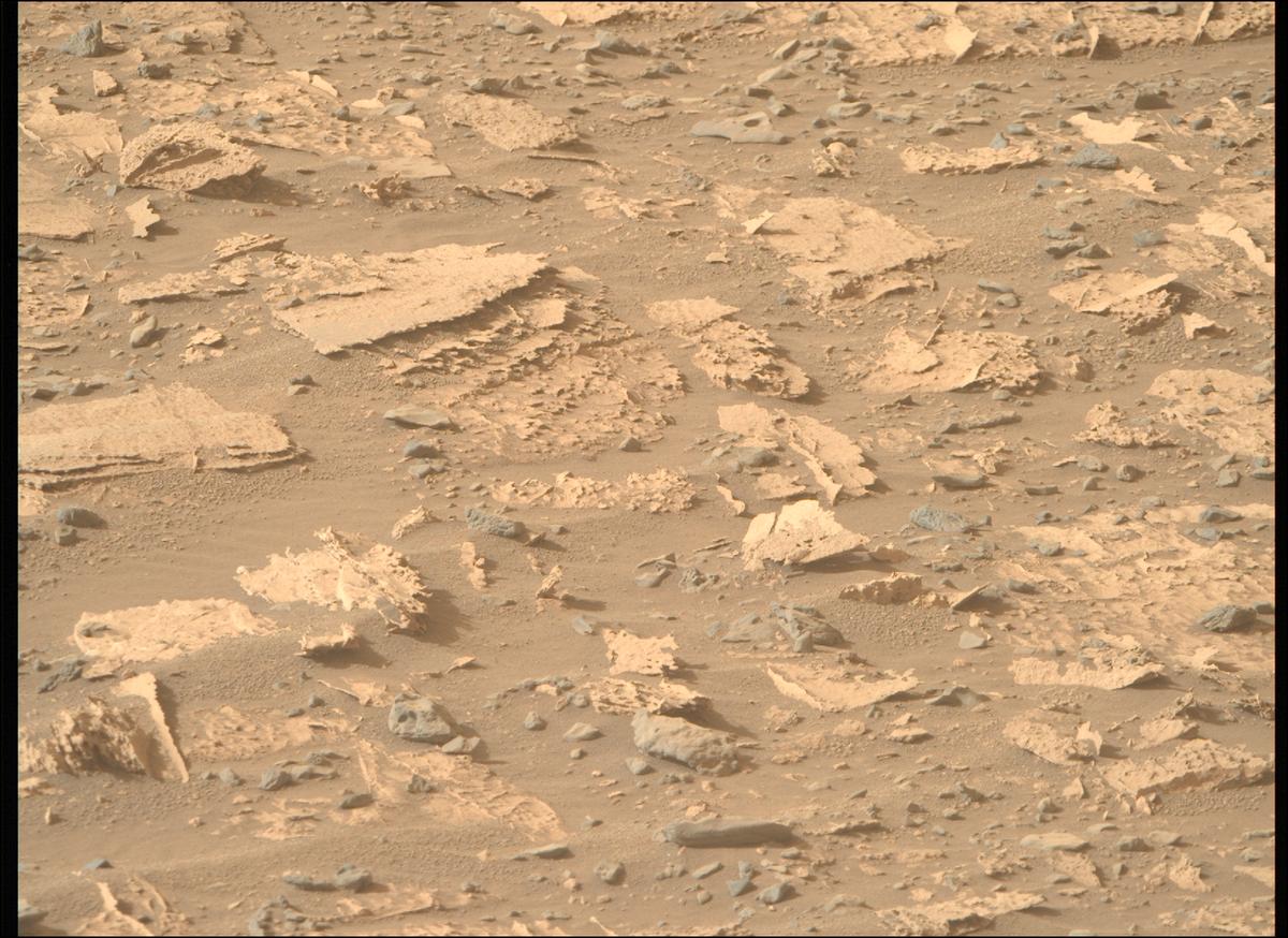 This image was taken by MCZ_RIGHT onboard NASA's Mars rover Perseverance on Sol 1177