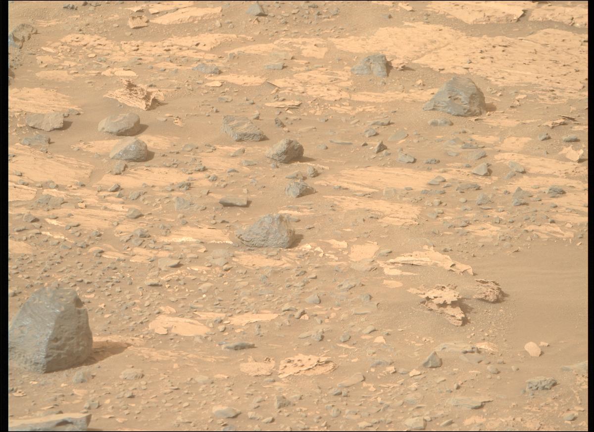 This image was taken by MCZ_RIGHT onboard NASA's Mars rover Perseverance on Sol 1177