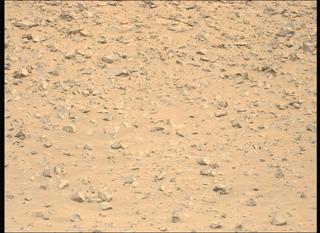 View image taken on Mars, Mars Perseverance Sol 1178: Left Mastcam-Z Camera