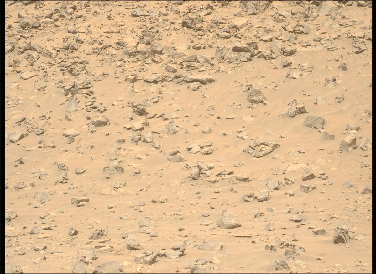 This image was taken by MCZ_LEFT onboard NASA's Mars rover Perseverance on Sol 1178