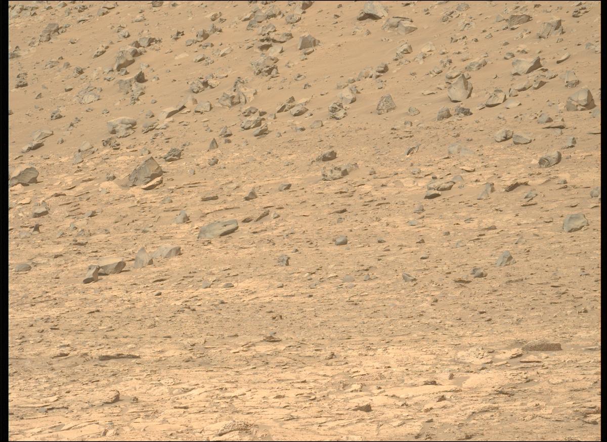 This image was taken by MCZ_LEFT onboard NASA's Mars rover Perseverance on Sol 1178